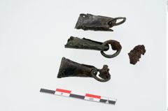 Foto von Bronzeklapperblech (NHMW-PRAE-024432)